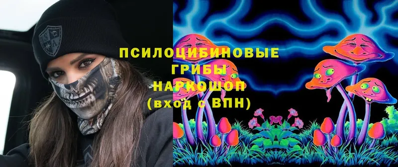 Галлюциногенные грибы MAGIC MUSHROOMS  купить   Дно 